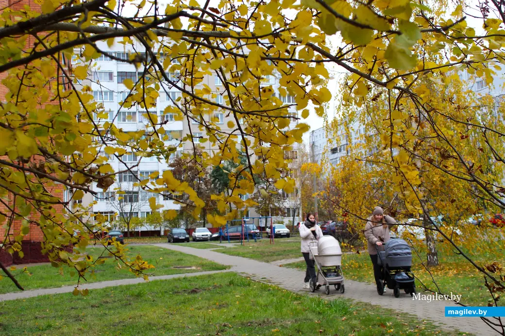 Октябрь 2025 года. Могилев.