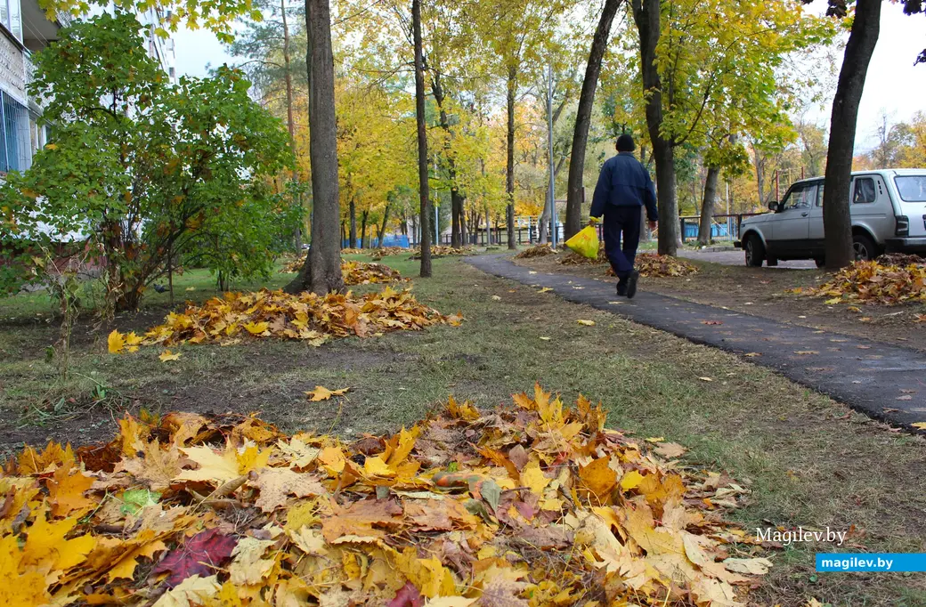 Октябрь 2025 года. Могилев.