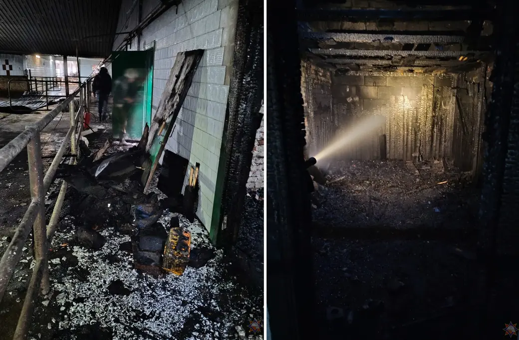 23 октября 2025 года. В Горках работники МЧС ликвидировали пожар на ферме. Фото: МЧС.