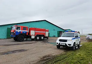 Пожар на ферме в Горках: спасли 50 телят