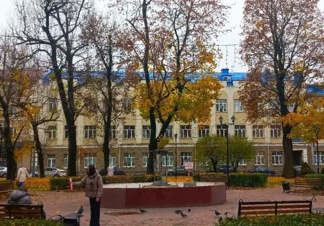 Могилевские «семидесятники»: деревья, которые мы выбираем