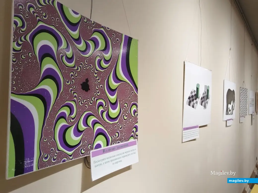 Октябрь 2025 года. Могилев. Могилевский областной краеведческий музей. Выставка «Экспириментус». Фото Ольги Вир.