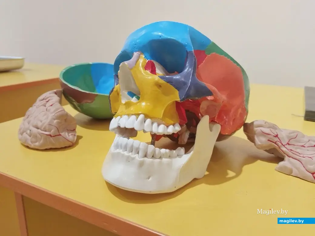 Октябрь 2025 года. Могилев. Могилевский областной краеведческий музей. Выставка «Экспириментус». Фото Ольги Вир.