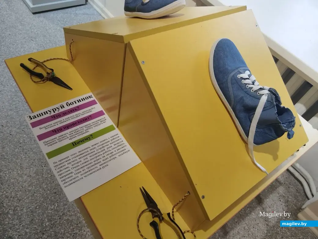 Октябрь 2025 года. Могилев. Могилевский областной краеведческий музей. Выставка «Экспириментус». Фото Ольги Вир.