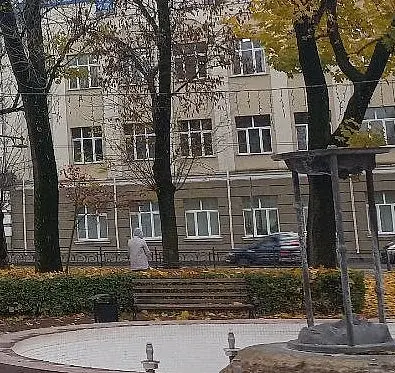 2025 год, Могилев, Театральный сквер. Дерево Валерия Козлова (крайнее левое).