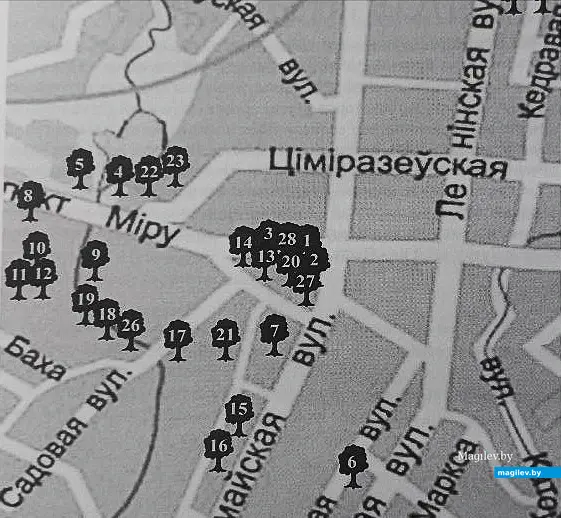 2015 год. Фрагмент карты именных деревьев.