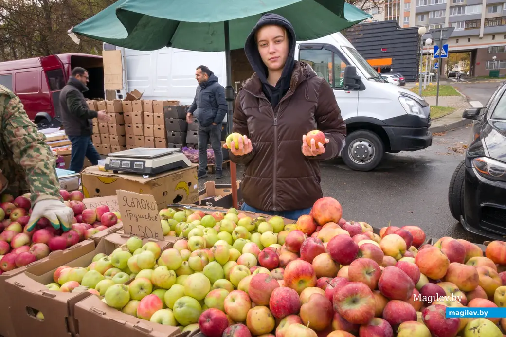 26.10.2025. Улица Горького. Сельскохозяйственная ярмарка «Золотая осень»