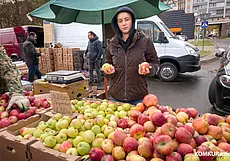 «Золотая осень» радует дарами бобруйчан. Наш фоторепортаж с ярмарки сельскохозяйственной продукции
