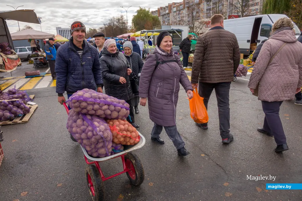 26.10.2025. Улица Горького. Сельскохозяйственная ярмарка «Золотая осень»