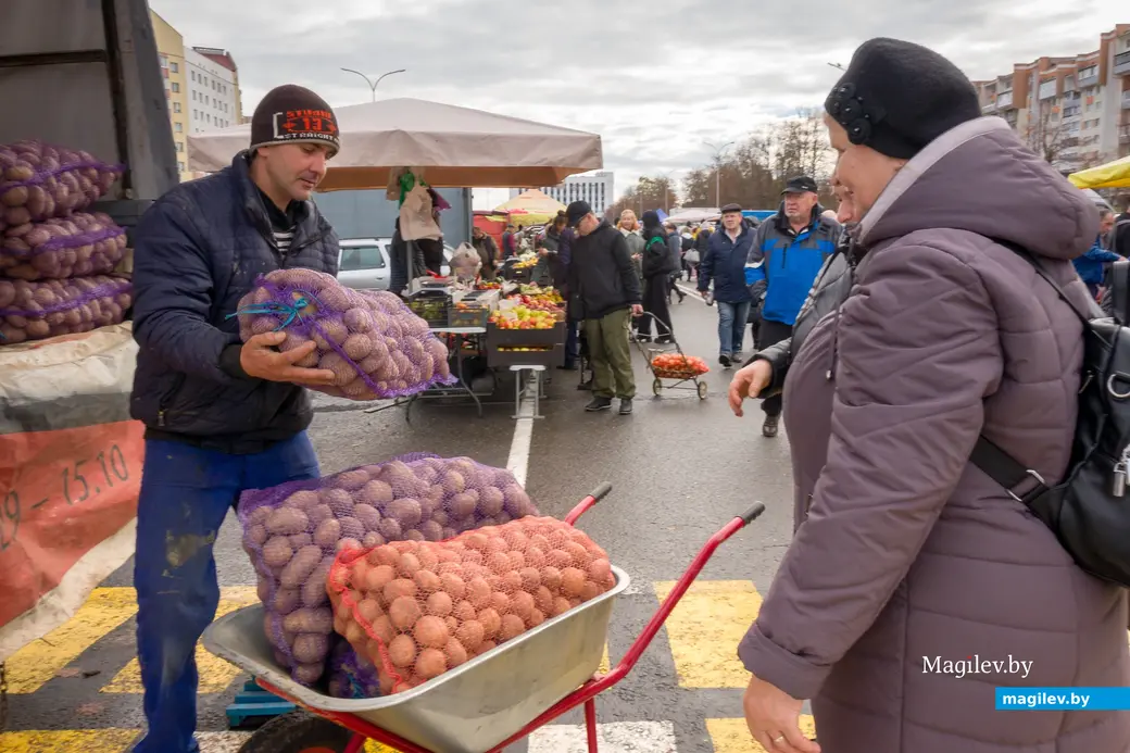 26.10.2025. Улица Горького. Сельскохозяйственная ярмарка «Золотая осень»