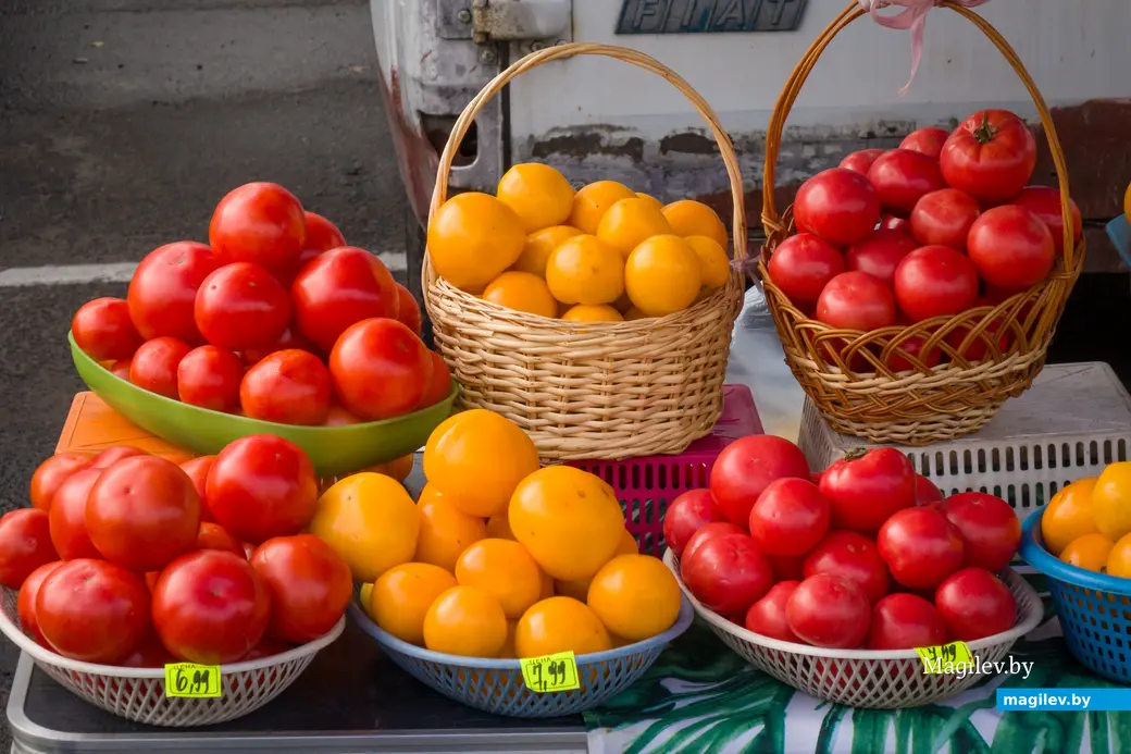 26.10.2025. Улица Горького. Сельскохозяйственная ярмарка «Золотая осень»