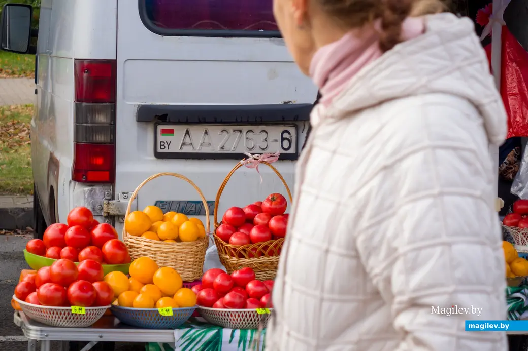 26.10.2025. Улица Горького. Сельскохозяйственная ярмарка «Золотая осень»