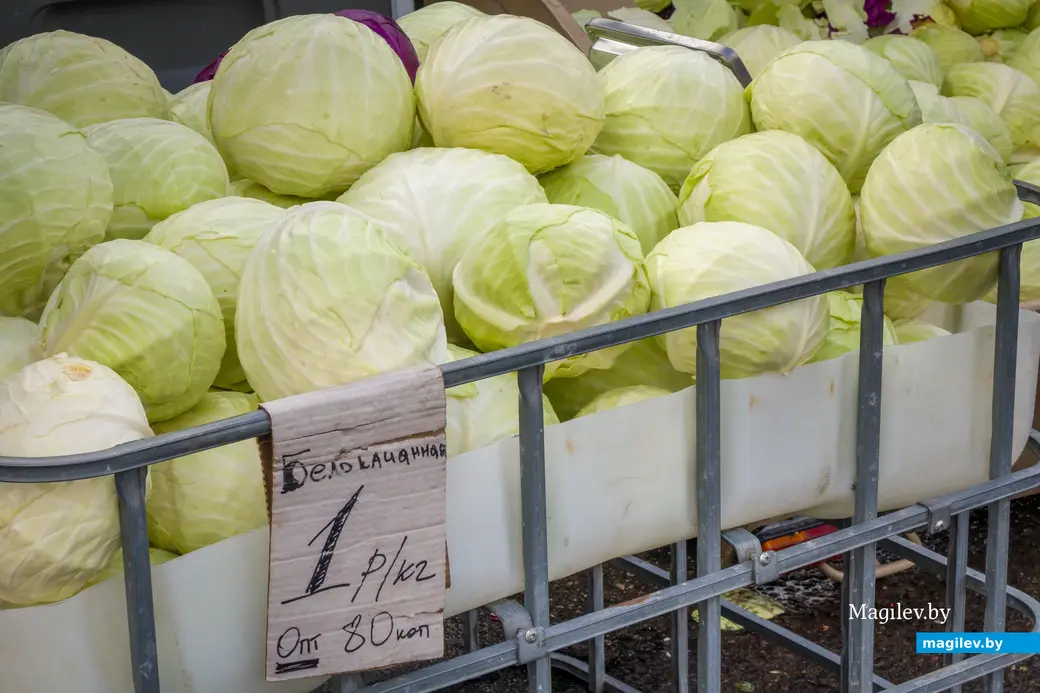 26.10.2025. Улица Горького. Сельскохозяйственная ярмарка «Золотая осень»