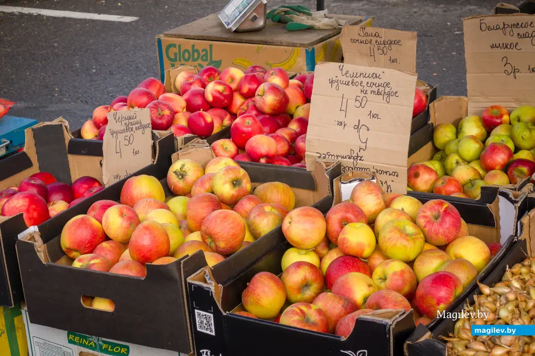26.10.2025. Улица Горького. Сельскохозяйственная ярмарка «Золотая осень»