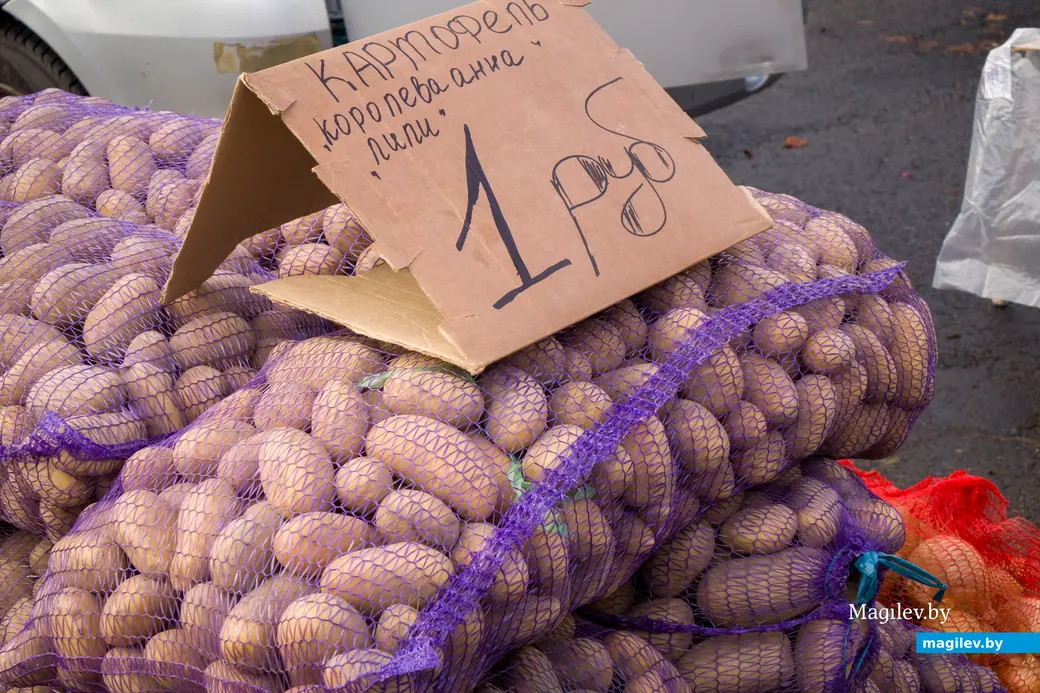 26.10.2025. Улица Горького. Сельскохозяйственная ярмарка «Золотая осень»