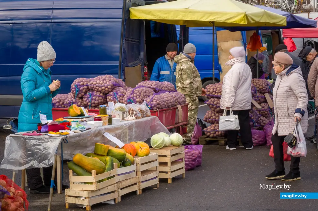 26.10.2025. Улица Горького. Сельскохозяйственная ярмарка «Золотая осень»