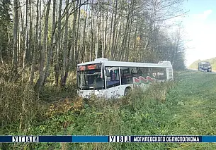 В Могилевском районе пригородный автобус съехал в кювет