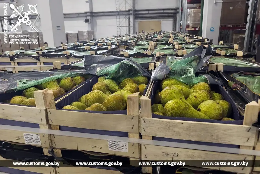 Почти 120 тонн контрабандных груш изъяли белорусские таможенники на границе с Россией. Фото: ГТК РБ