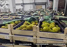 Почти 120 тонн контрабандных груш изъяли белорусские таможенники на границе с Россией