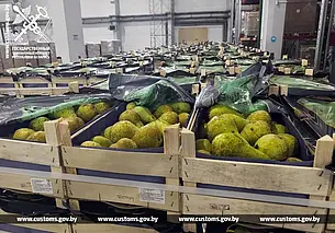 Почти 120 тонн контрабандных груш изъяли белорусские таможенники на границе с Россией