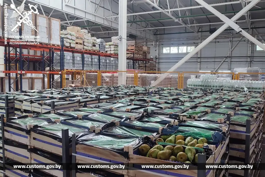 Почти 120 тонн контрабандных груш изъяли белорусские таможенники на границе с Россией. Фото: ГТК РБ