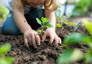 Самый простой способ защитить молодые деревья зимой