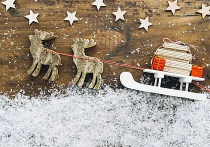 БЖД запустит новогодние поезда в Беловежскую пущу: появились даты туров