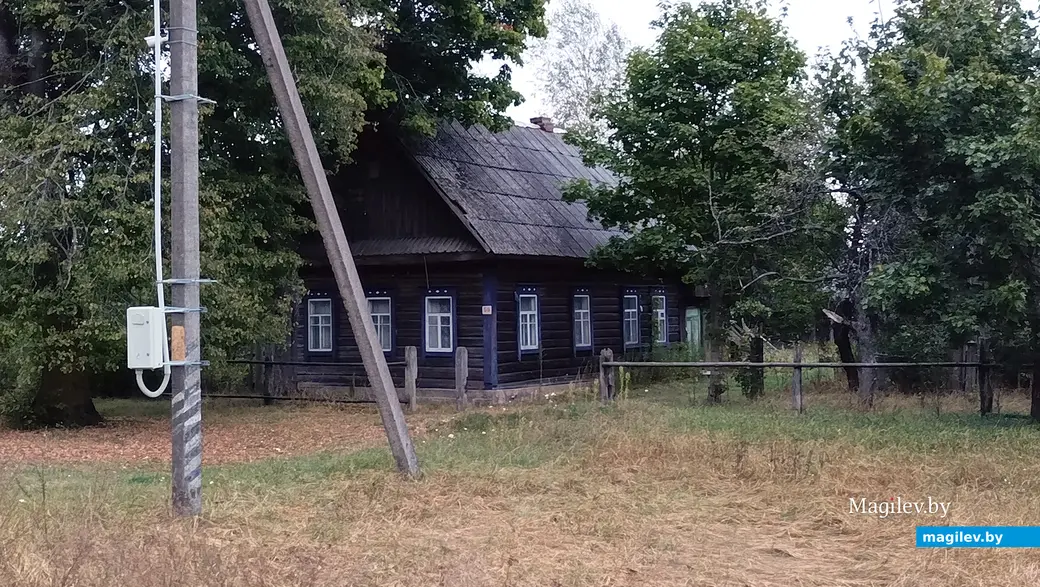 Сентябрь 2025 г. Деревня Зеленковичи, Глусский район.