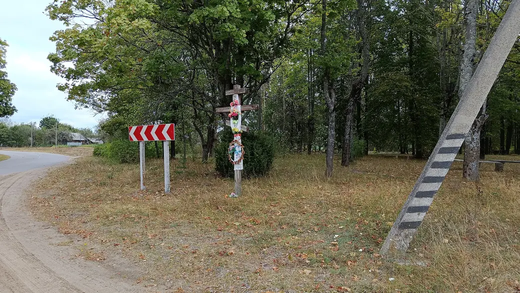 Сентябрь 2025 г. Деревня Зеленковичи, Глусский район.