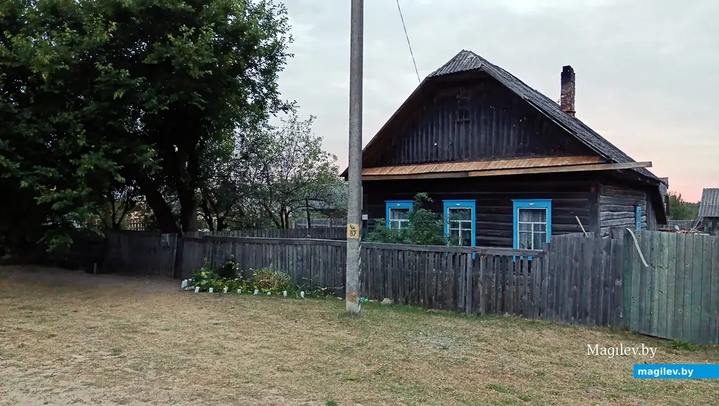 Сентябрь 2025 г. Деревня Зеленковичи, Глусский район.