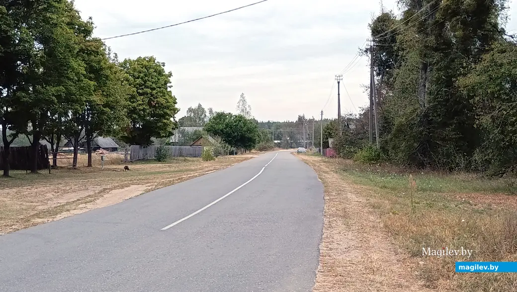 Сентябрь 2025 г. Деревня Зеленковичи, Глусский район.