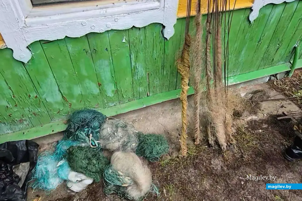 28.10.2025. Кличевский район.