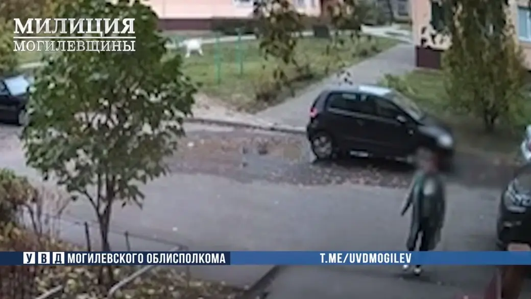 Фото: скан с видео УВД Могоблисполкома