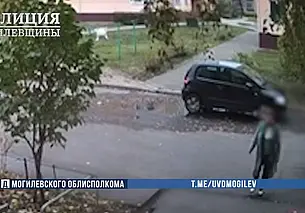 В Бобруйске задержана курьер телефонных мошенников