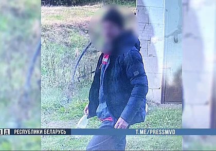 В Могилеве задержали вора, укравшего крупную сумму денег из дачной постройки в Бресте