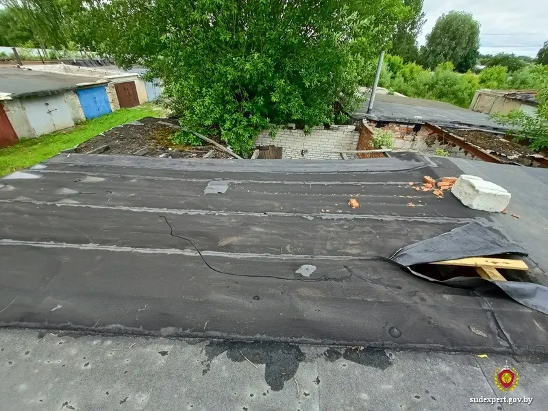 Фото: управление ГКСЭ по Могилевской области