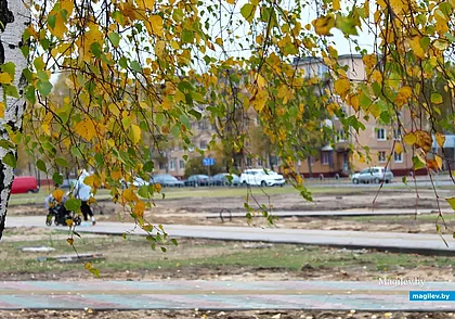 До 11 градусов тепла и облачно: какой будет погода в Могилеве во вторник, 4 ноября