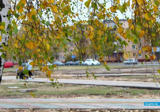 До 11 градусов тепла и облачно: какой будет погода в Могилеве во вторник, 4 ноября