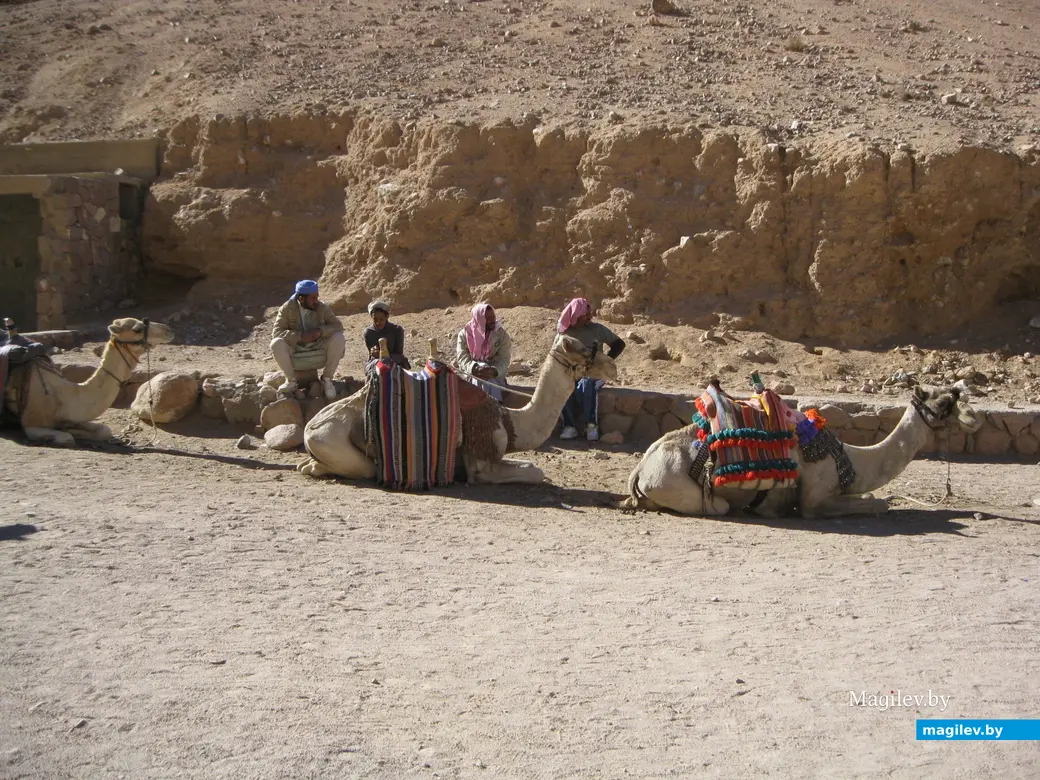 2008 год, Египет, Синай. Восхождение на гору Моисея.