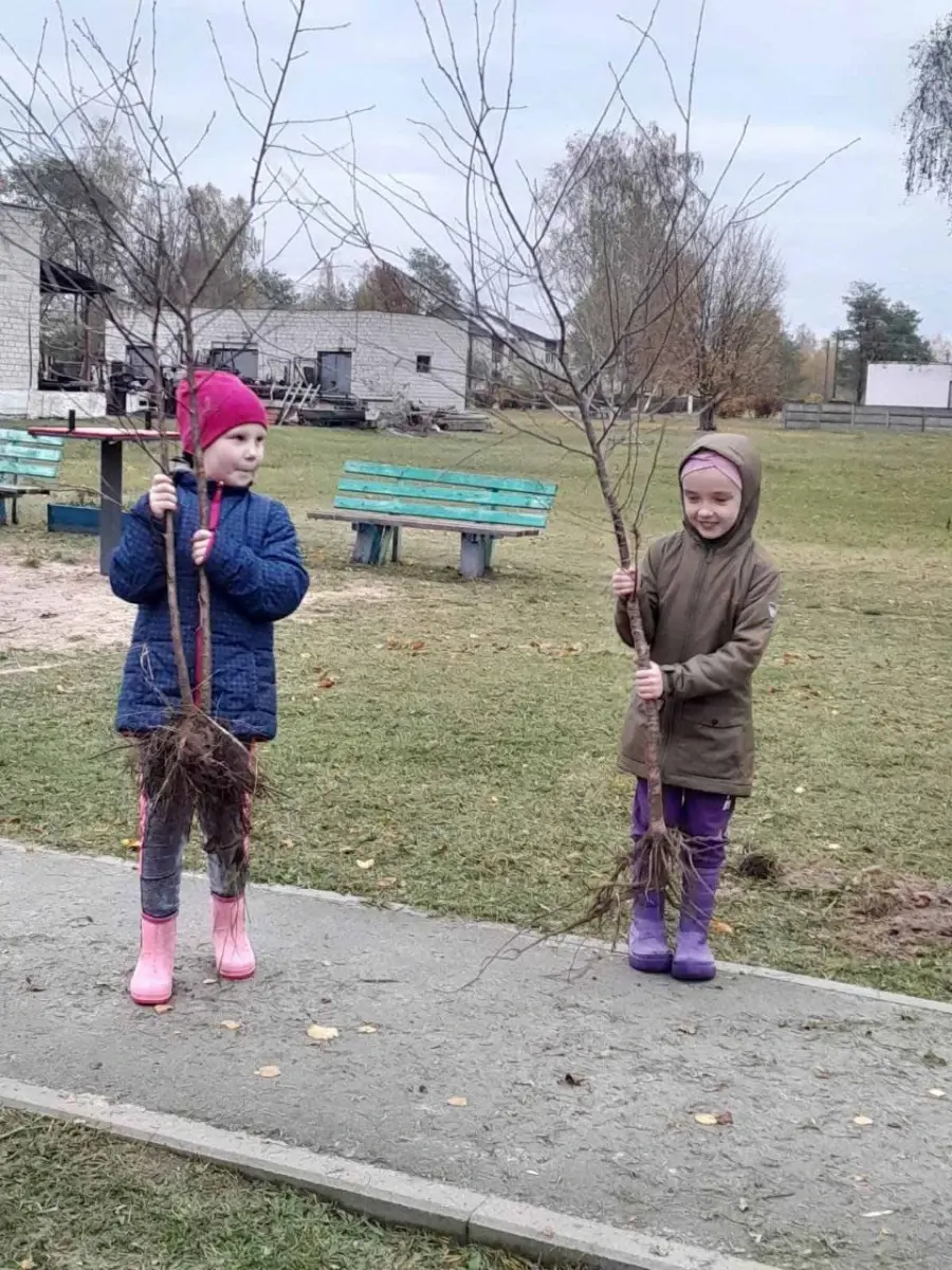 В деревне Осово будет сад.