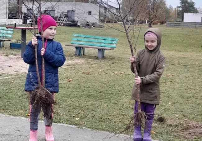«Возле школы и детской площадки посадили сад на 40 деревьев». Жизнь глазами бобруйчан