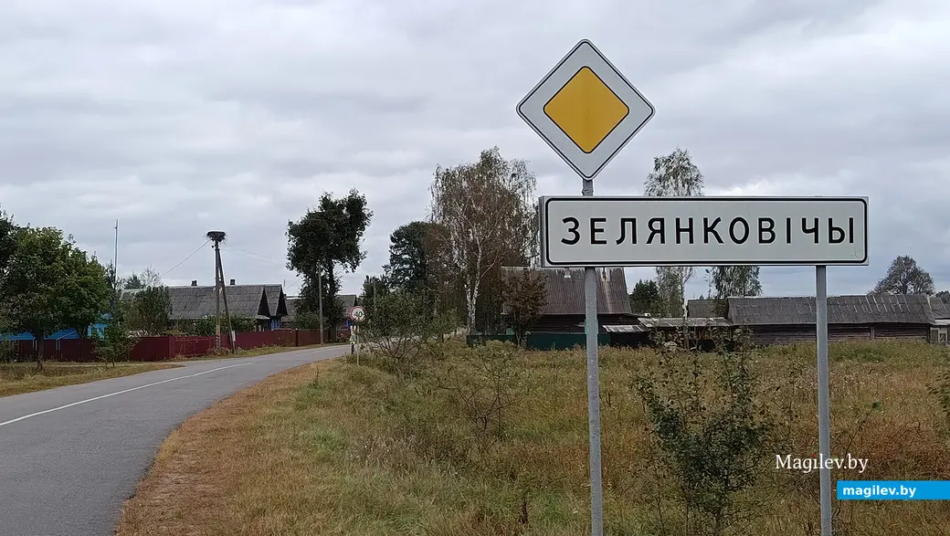 Сентябрь 2025 г. Деревня Зеленковичи Глусский район.
