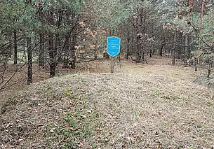 Деревня Зеленковичи Глусский район