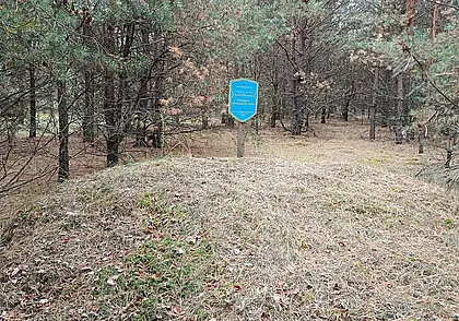 Деревня Зеленковичи Глусский район