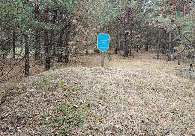 Деревня Зеленковичи Глусский район