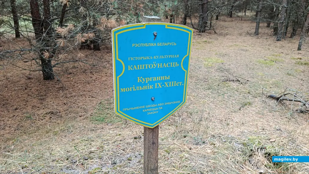 Сентябрь 2025 г. Древние курганы возле деревни Зеленковичи Глусского района.