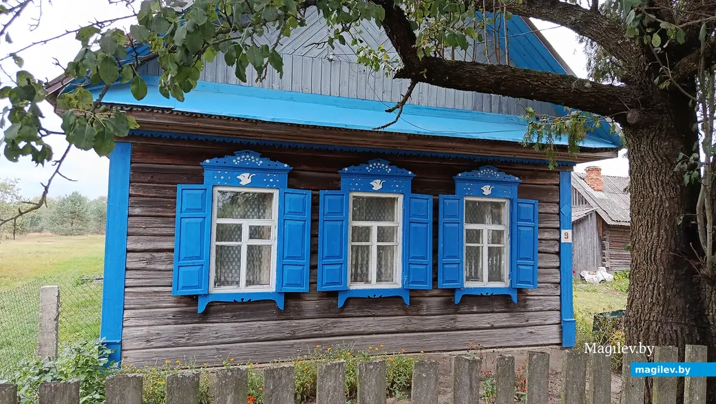 Сентябрь 2025 г. Деревня Зеленковичи Глусский район.