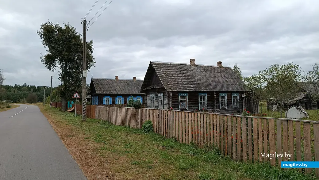 Сентябрь 2025 г. Деревня Зеленковичи Глусский район.