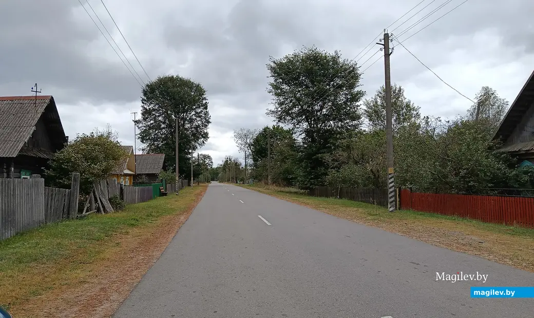 Сентябрь 2025 г. Деревня Зеленковичи Глусский район.