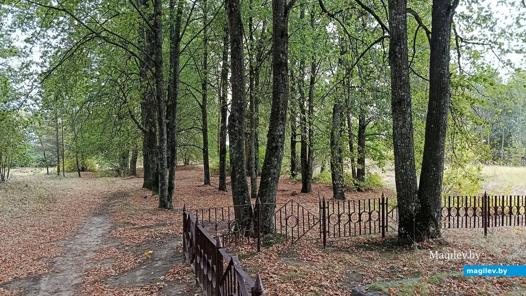 Сентябрь 2025 г. Деревня Зеленковичи Глусский район. На этом месте когда-то была школа.